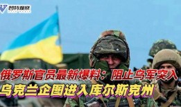 最新俄罗斯爆料,揭秘神秘事件背后真相”